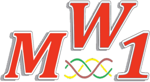 ЗАО «МЕГАВАТТ-1»